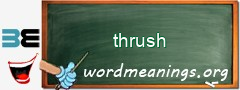 WordMeaning blackboard for thrush